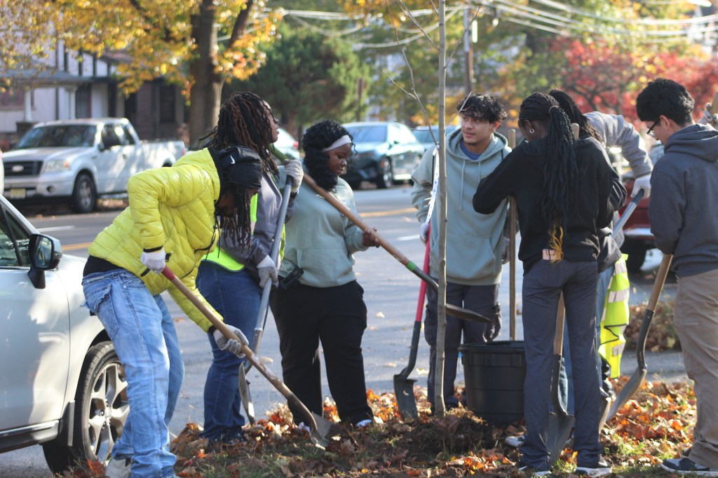 A group of students planting a tree along a Trenton street last fall (2025). 